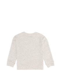 Світшот US Polo модель G084SZ082.000.1455437.VR156 Фото