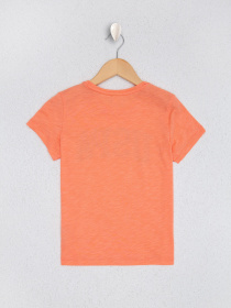 Футболка US Polo модель G084SZ011.000.980805.VR047 Фото