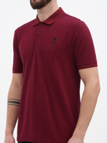 Поло US Polo модель USPA.1364501.VR014 Фото