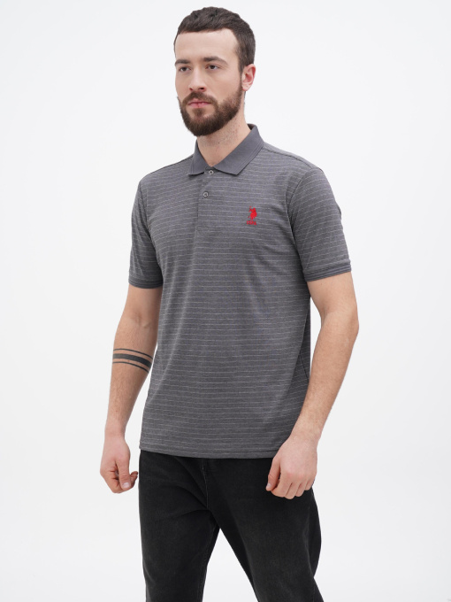 Поло US Polo модель USPA.1612619-1.VR024 Фото