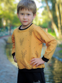 Свитшот ODWEEK модель 280102 Фото