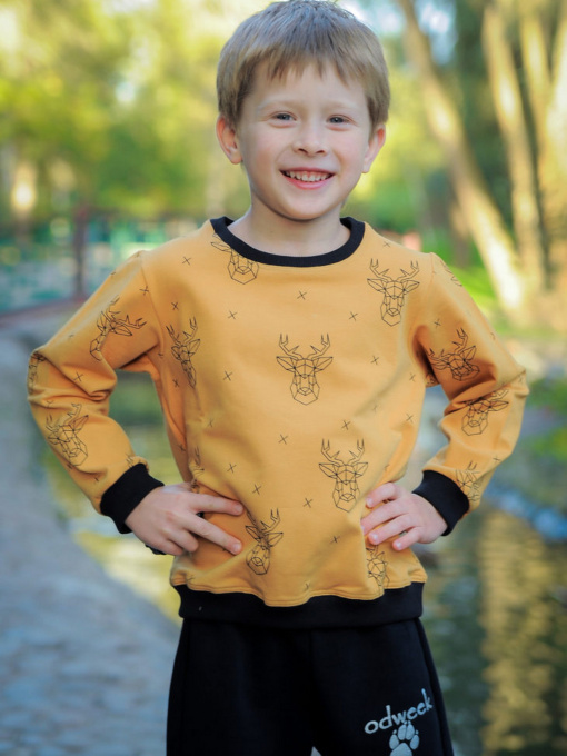 Світшот ODWEEK модель 280102 Фото