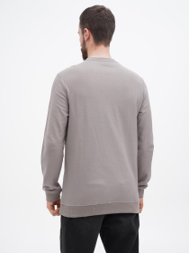 Свитшот US Polo модель USPA.1450000.VR086 Фото