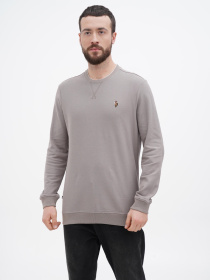 Свитшот US Polo модель USPA.1450000.VR086 Фото