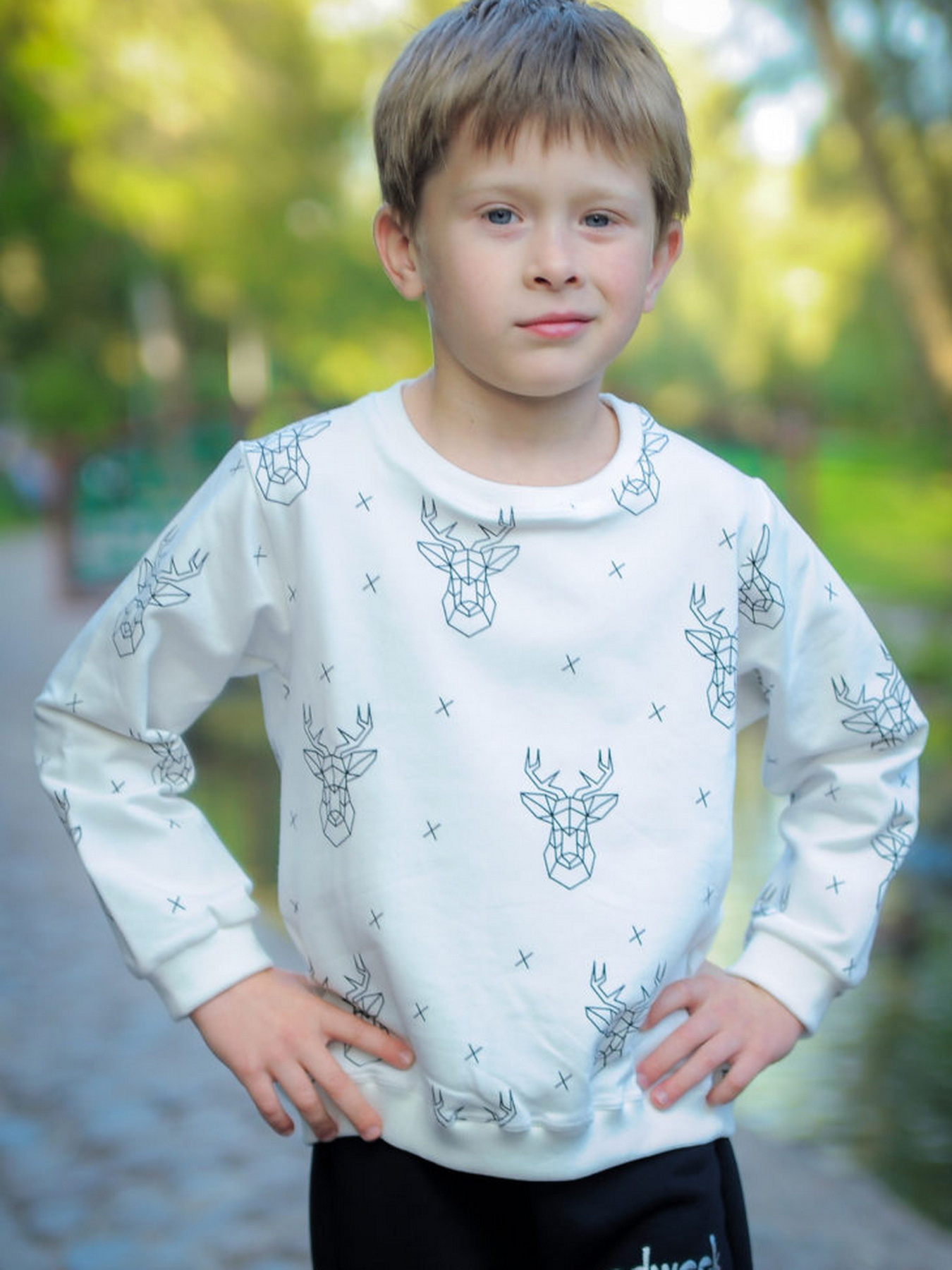 Світшот ODWEEK модель 290102 Фото