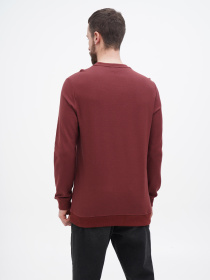 Свитшот US Polo модель USPA.1450000.VR014 Фото