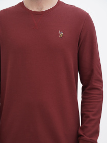 Свитшот US Polo модель USPA.1450000.VR014 Фото