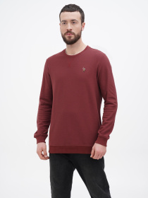 Свитшот US Polo модель USPA.1450000.VR014 Фото