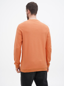 Свитшот US Polo модель USPA.1450000.VR031 Фото