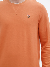 Свитшот US Polo модель USPA.1450000.VR031 Фото