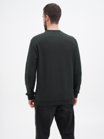 Свитшот US Polo модель USPA.1450000.VR079 Фото