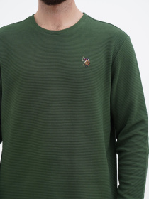 Джемпер US Polo модель USPA.1450001.VR054 Фото