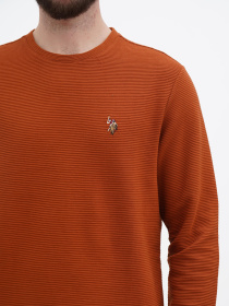 Джемпер US Polo модель USPA.1450001.VR031 Фото