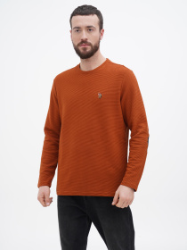 Джемпер US Polo модель USPA.1450001.VR031 Фото