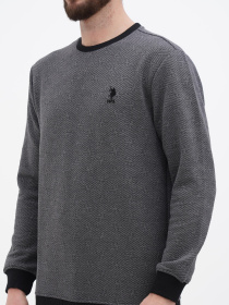 Світшот US Polo модель USPA.1450002.VR024 Фото