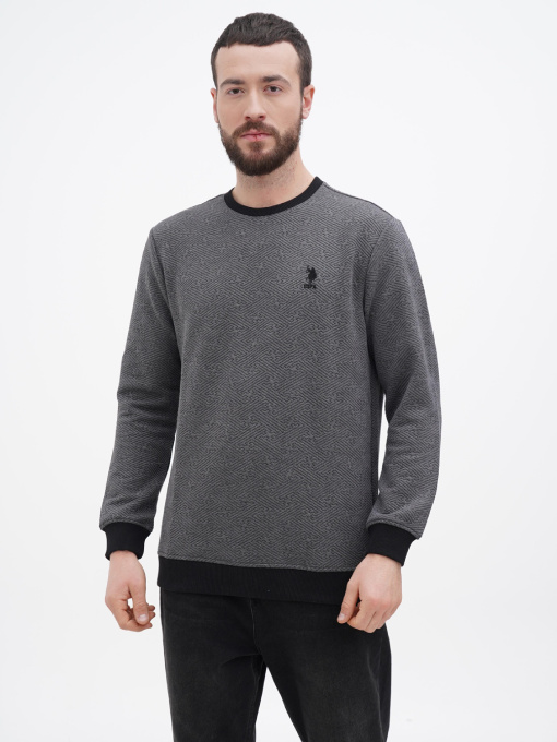 Свитшот US Polo модель USPA.1450002.VR024 Фото