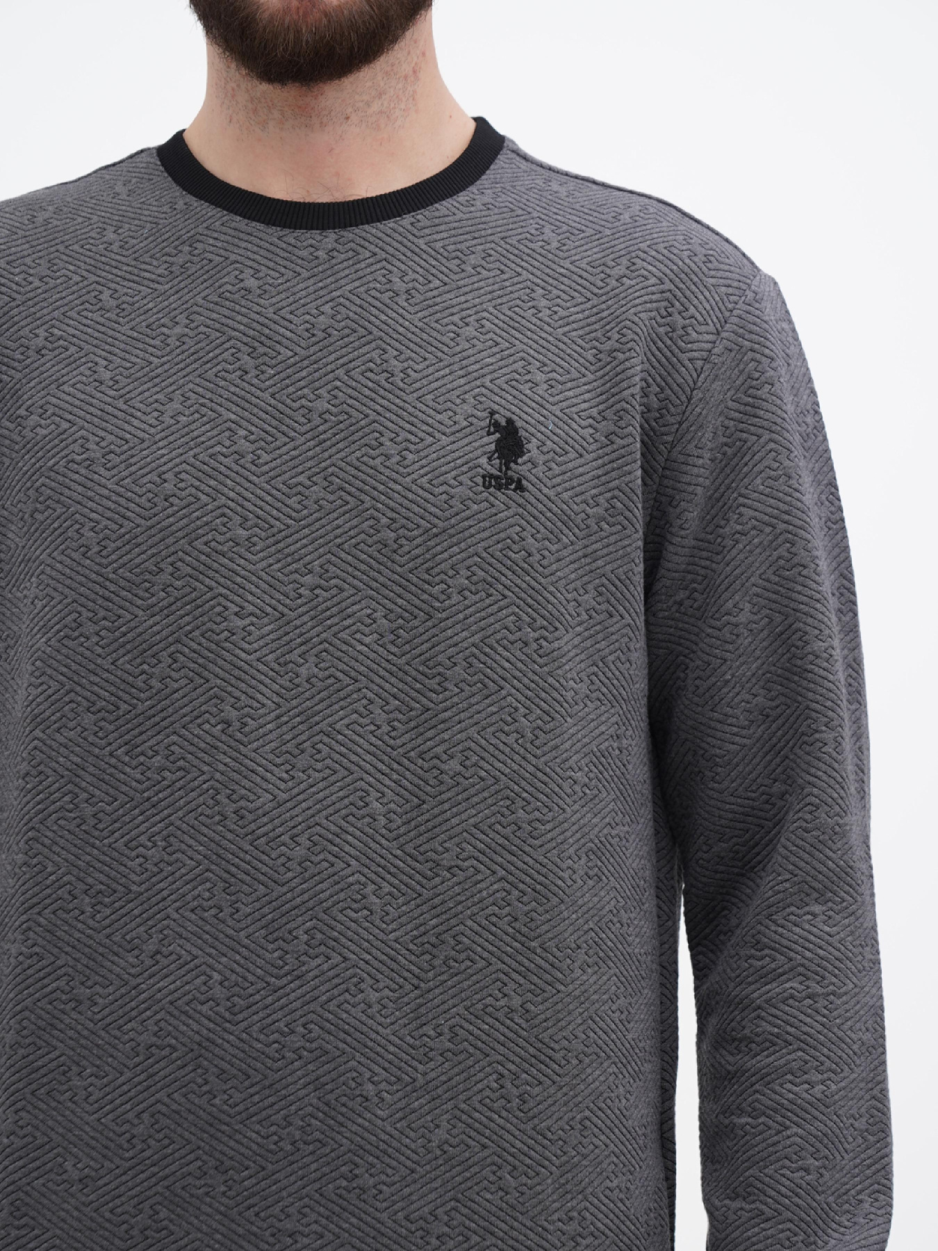 Свитшот US Polo модель USPA.1450002.VR024 Фото