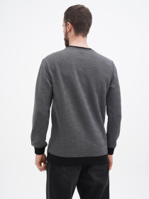 Свитшот US Polo модель USPA.1450002.VR024 Фото