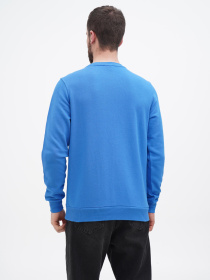 Свитшот US Polo модель USPA.1450003.VR045 Фото