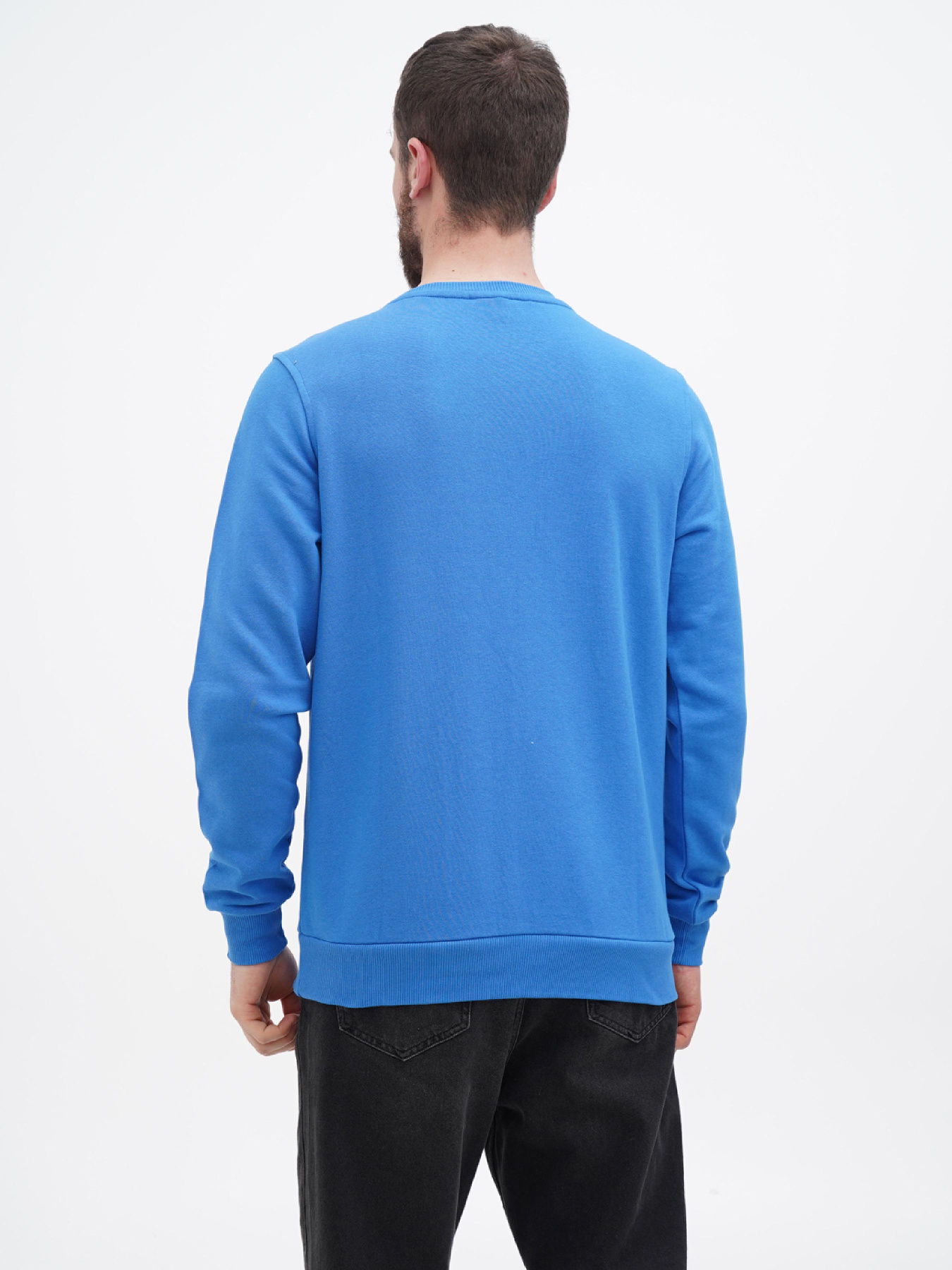 Свитшот US Polo модель USPA.1450003.VR045 Фото