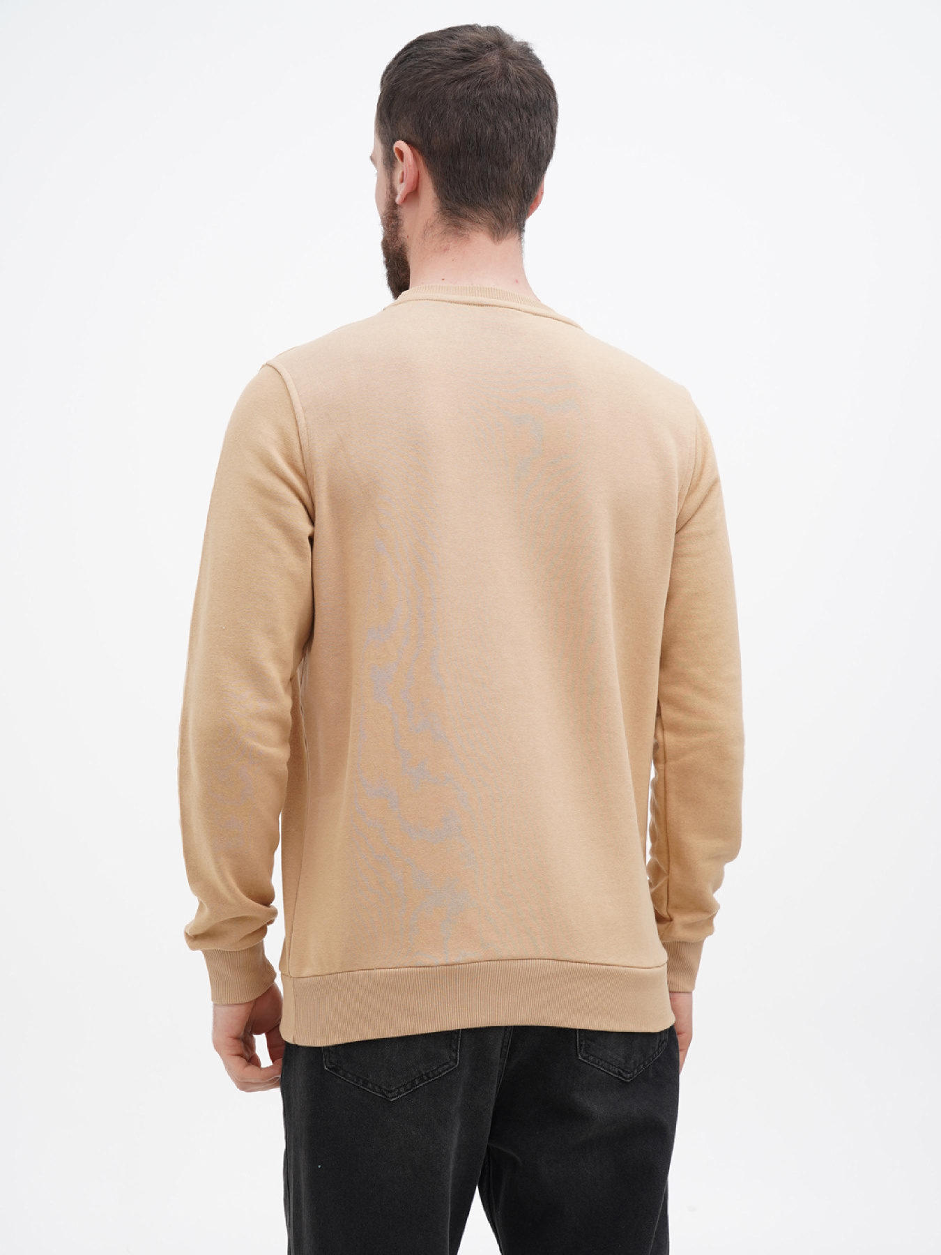 Свитшот US Polo модель USPA.1450003.VR011 Фото