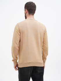 Свитшот US Polo модель USPA.1450003.VR011 Фото