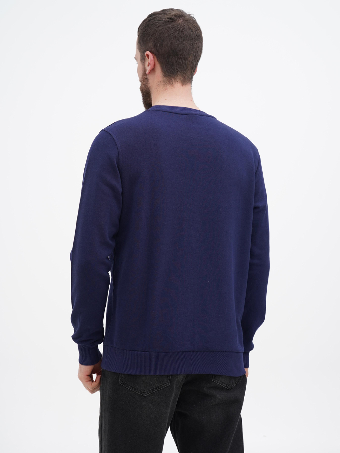 Свитшот US Polo модель USPA.1450003.VR033 Фото