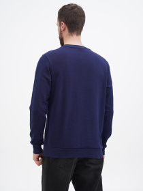 Свитшот US Polo модель USPA.1450003.VR033 Фото