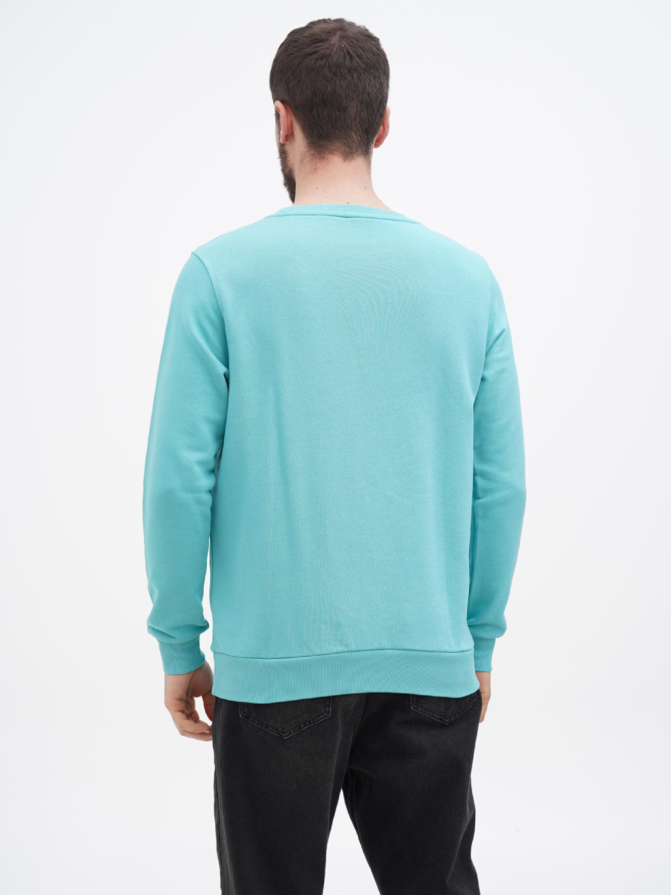 Свитшот US Polo модель USPA.1450003.VR090 Фото