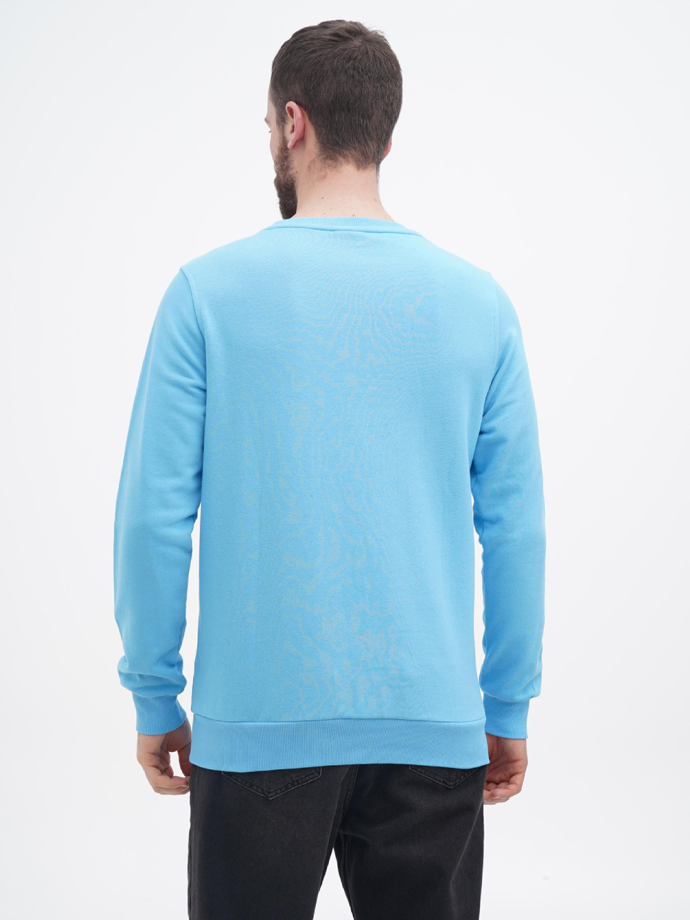 Свитшот US Polo модель USPA.1450003.VR003 Фото