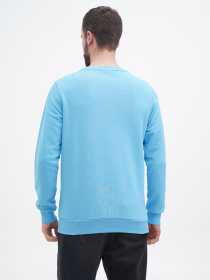 Свитшот US Polo модель USPA.1450003.VR003 Фото