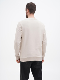 Світшот US Polo модель USPA.1450004.VR049 Фото