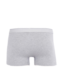 Набор трусов US Polo модель I081SZ0IA.000.80093_.600 Фото