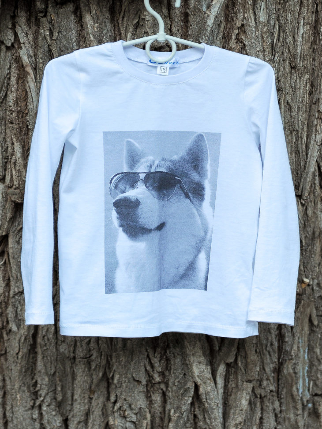 Лонгслів ODWEEK модель 340102 Фото