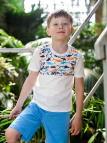 Футболка ODWEEK модель 340103 Фото