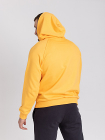 Худи и свитшоты Feel and Fly модель 242316 Фото