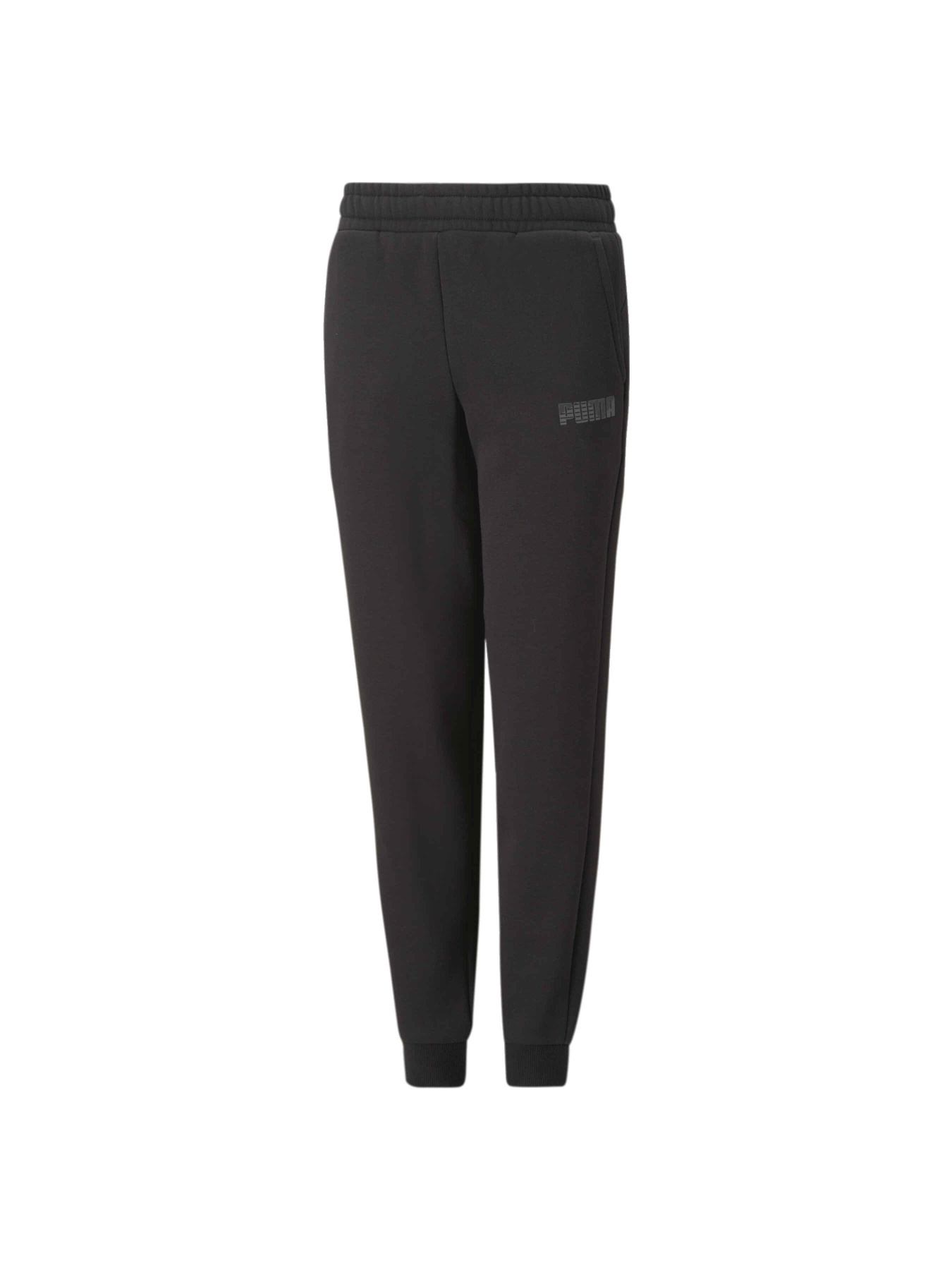 Штаны спортивные PUMA Sweatpants модель 674492 Фото