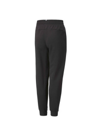 Штаны спортивные PUMA Sweatpants модель 674492 Фото