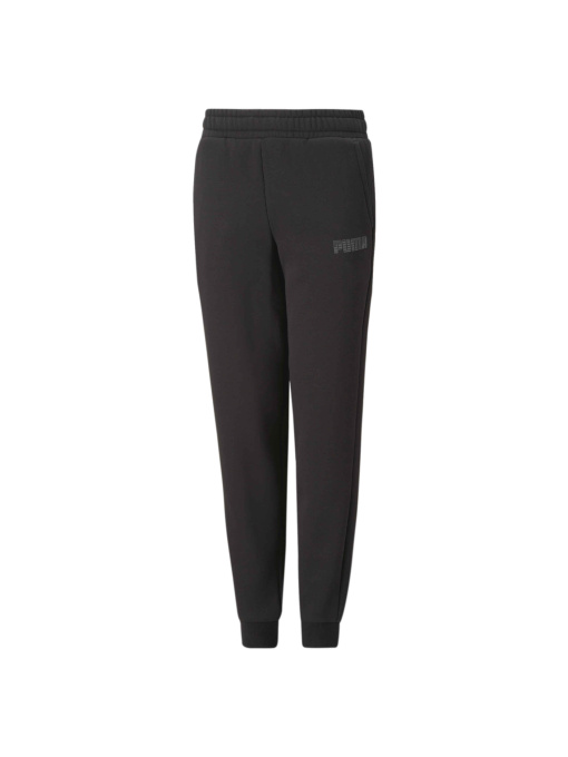 Спортивні штани PUMA Sweatpants модель 674492 Фото