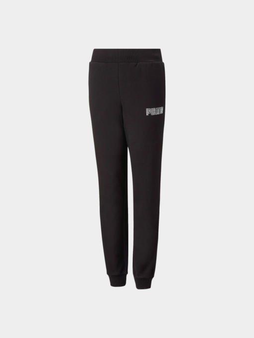 Штаны спортивные PUMA Sweatpants модель 674495 Фото