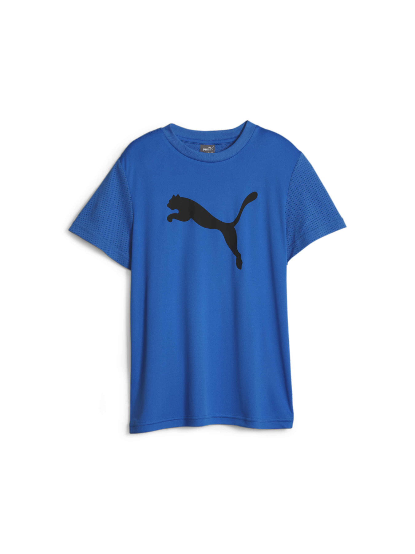 Футболка PUMA Active Sports Poly Cat Tee модель 676294 Фото