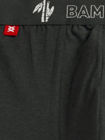 Нижнее белье Atlantic модель 2MH-1187_CZA_KHA Фото