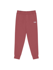 Штаны спортивные PUMA Ess Sweat Pants Closed Fl W модель 847206 Фото