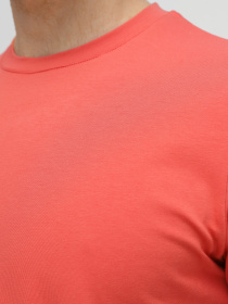 Футболка Promin модель 1912-04_529 Фото