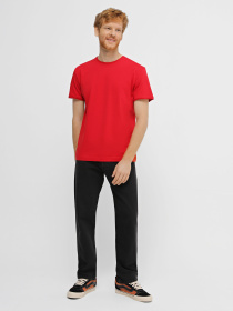 Футболка Promin модель 1912-05_317 Фото