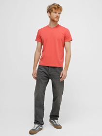 Футболка Promin модель 1912-06_529 Фото