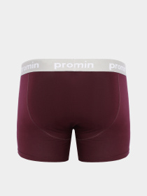 Трусы Promin модель 1991-01_113 Трусы Promin модель 1991-01_113 Фото