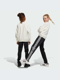 Брюки Adidas Adicolor модель IM3903-KZ Фото
