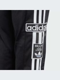 Брюки Adidas Adicolor модель IM3903-KZ Фото