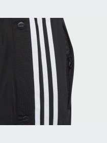 Брюки Adidas Adicolor модель IM3903-KZ Фото